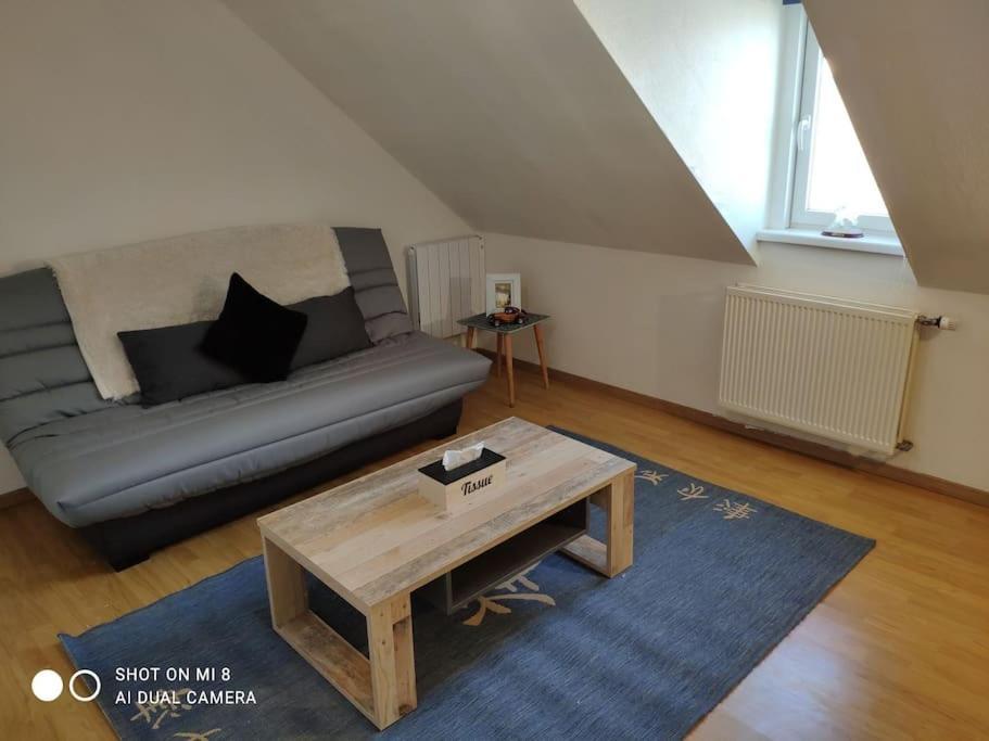 Joli Appartement Avec Place De Parking Prive Colmar Exteriér fotografie
