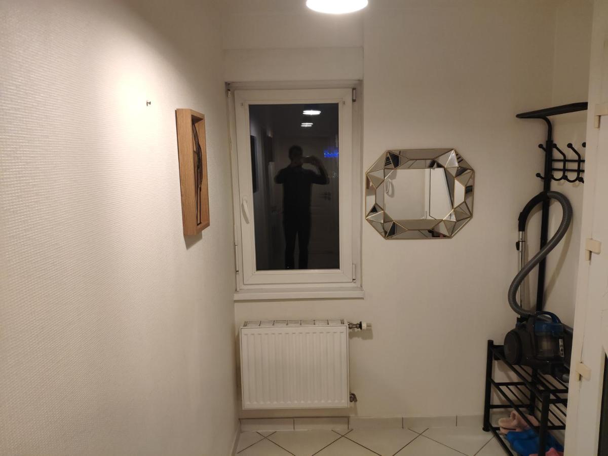 Joli Appartement Avec Place De Parking Prive Colmar Exteriér fotografie